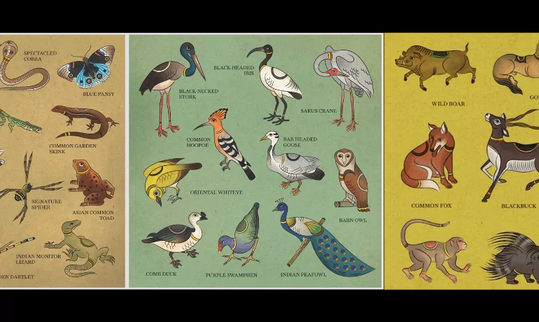 Biodiversity map of Shiv Nadar University created using folk art by Professor Bahar Dutt.