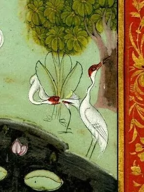 Indian birds in Rajasthani Miniatures
